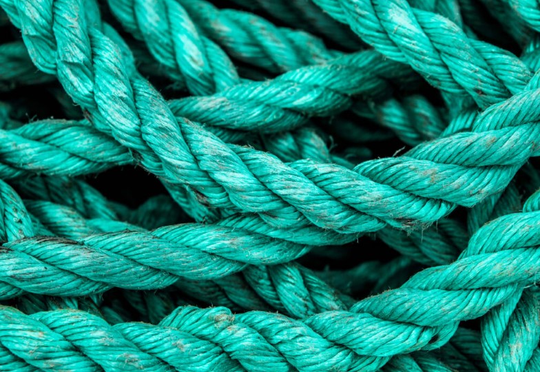 Trumps neue Fischereiregel bedroht Ozean: Schutzgebiete im Pazifik in Gefahr Trumps neue Fischereiregel bedroht Ozean: Schutzgebiete im Pazifik in Gefahr